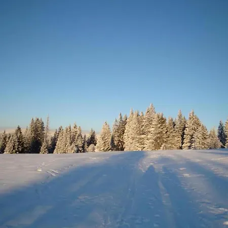 Near The Forest * Kammerstein