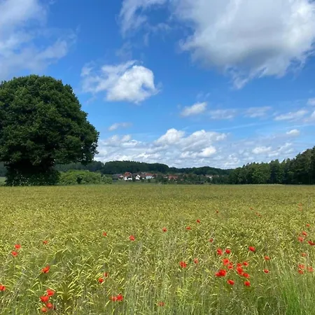 Near The Forest Apartment