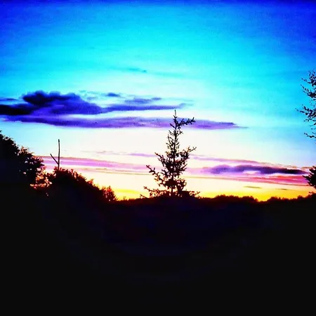 Near The Forest Apartment *