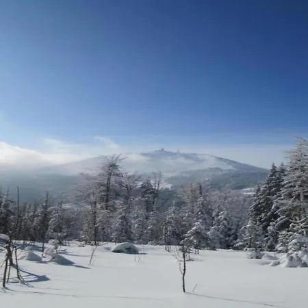 Near The Forest