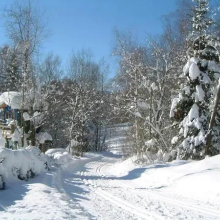 Near The Forest Apartment *
