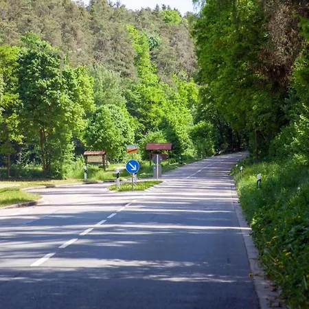 Near The Forest