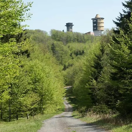 Near The Forest